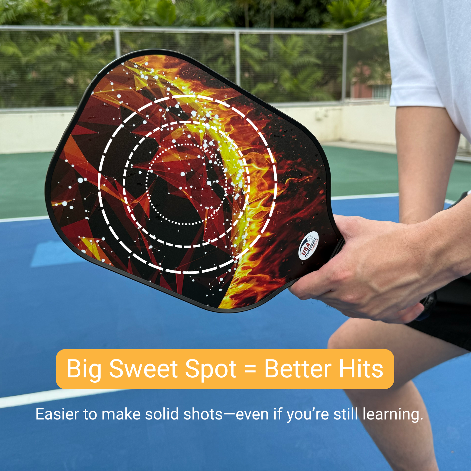 Pickleball paddle set for 2