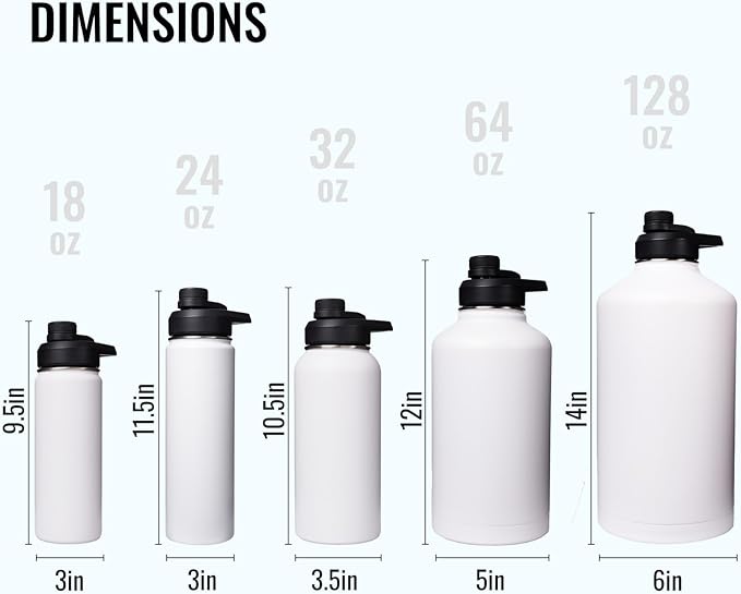 Insulated Water Bottle with Handle