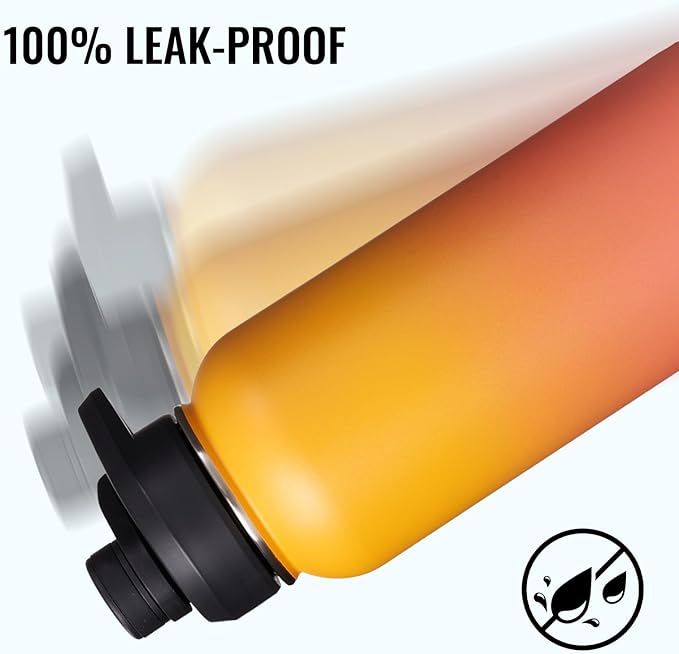Insulated Water Bottle with Handle