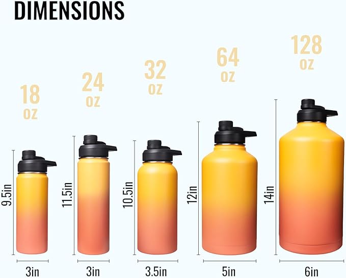 Insulated Water Bottle with Handle