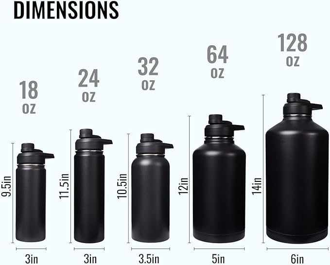 Insulated Water Bottle with Handle